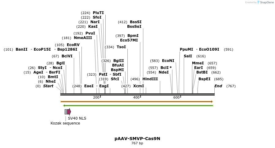 157803_map
