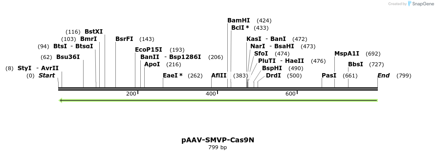 157806_map
