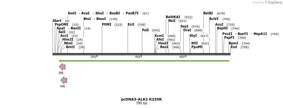 157807_map