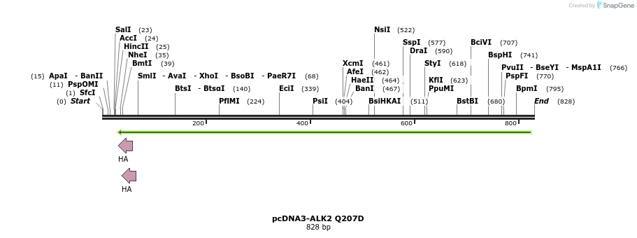 157809_map