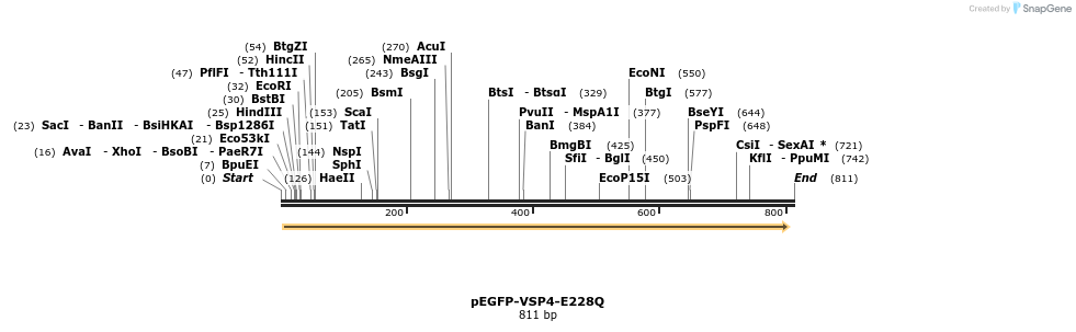 157820_map