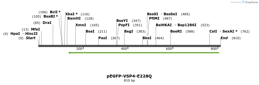 157821_map