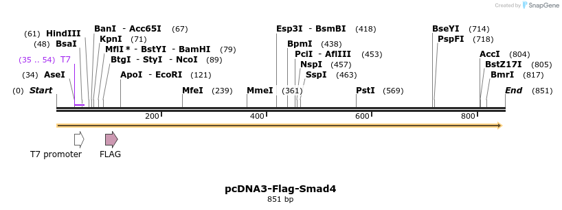 157822_map