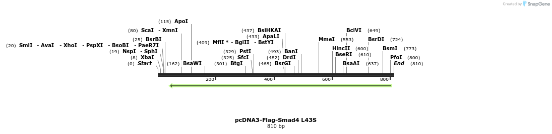 157825_map