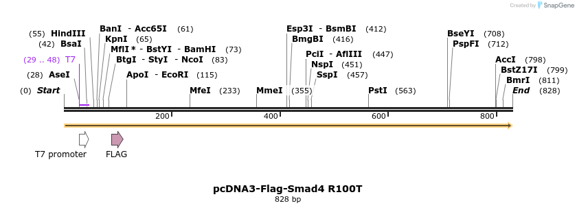 157826_map