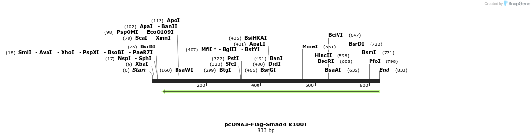 157827_map