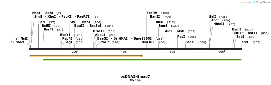 157831_map