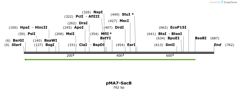 157845_map