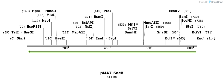 157846_map