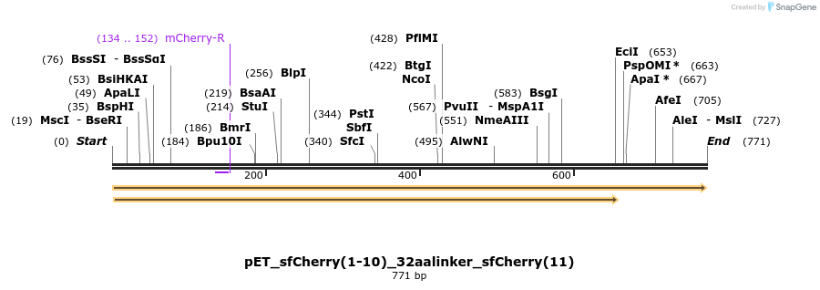157866_map