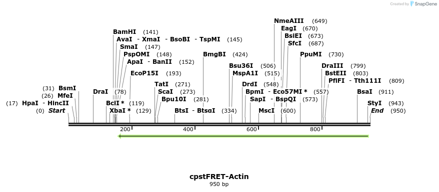 157890_map