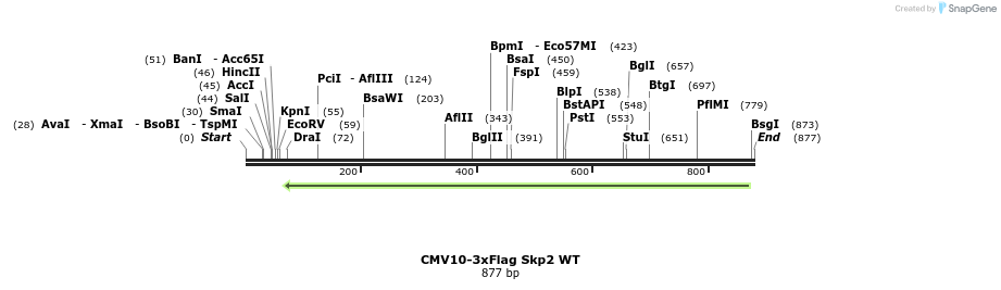 157893_map