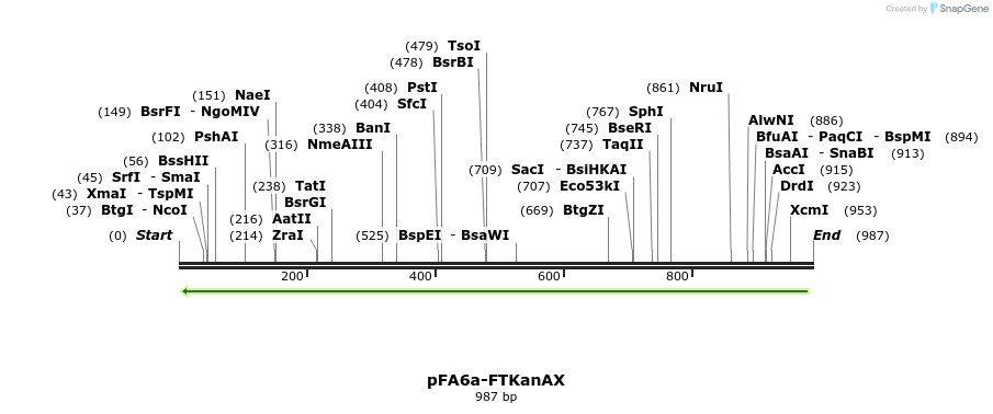 157897_map