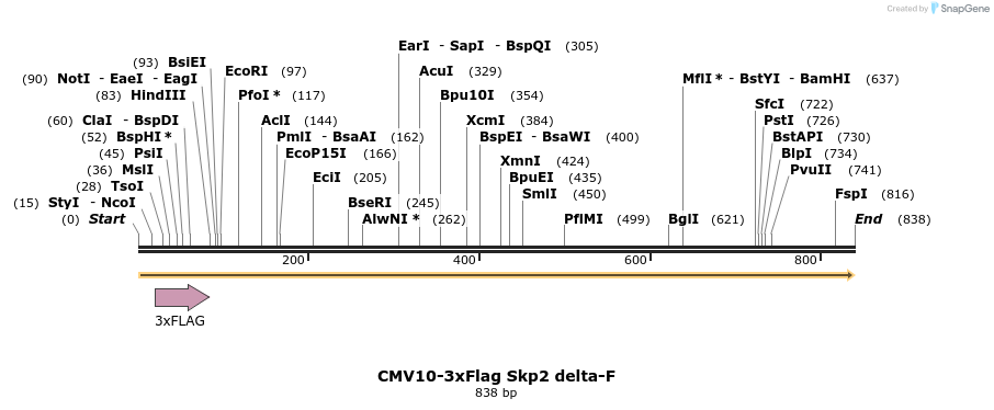 157898_map