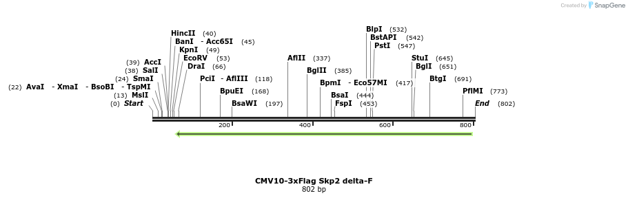 157900_map