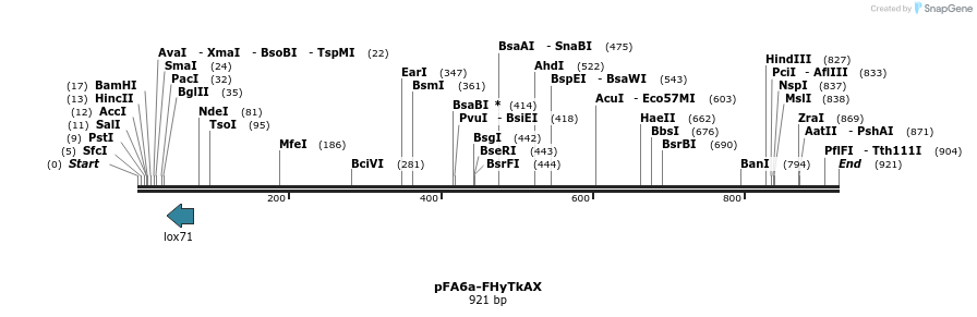 157907_map