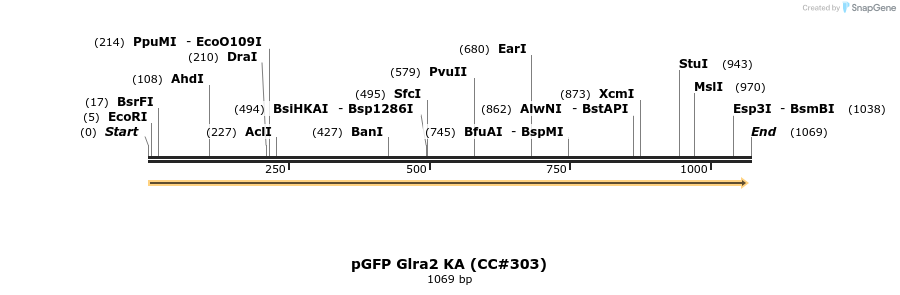 157915_map