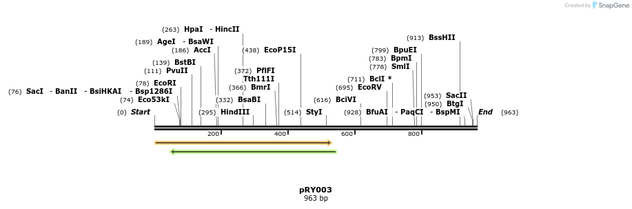 157921_map