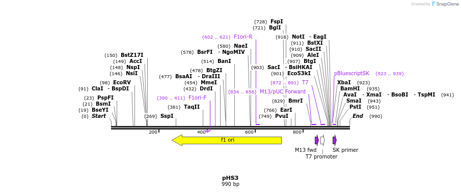 157926_map