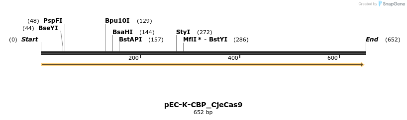 157941_map