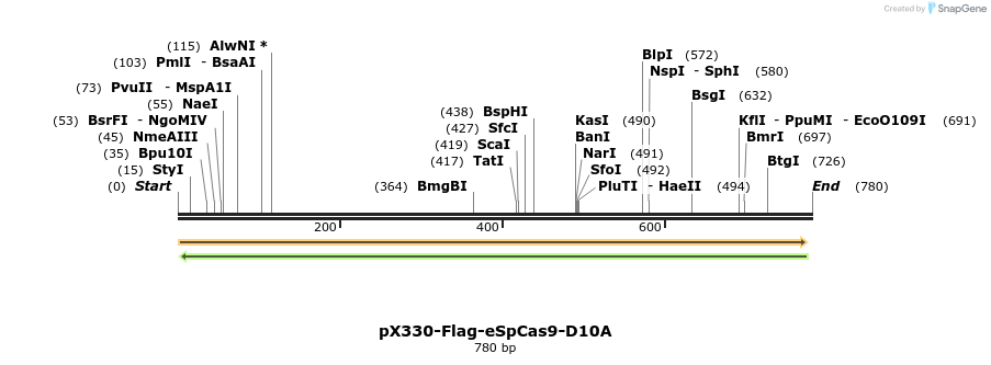 157944_map