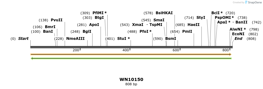 157946_map