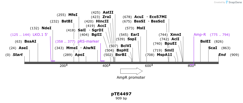 157947_map