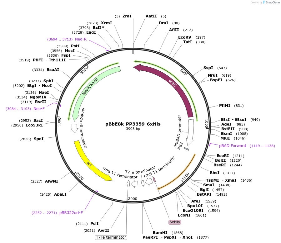 158002_map