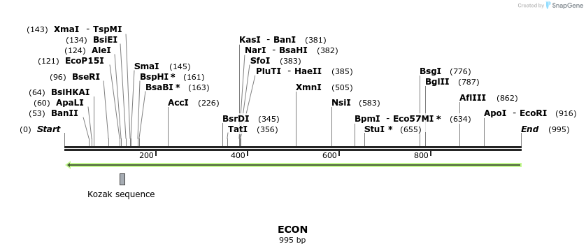 158012_map
