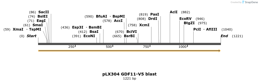 158013_map