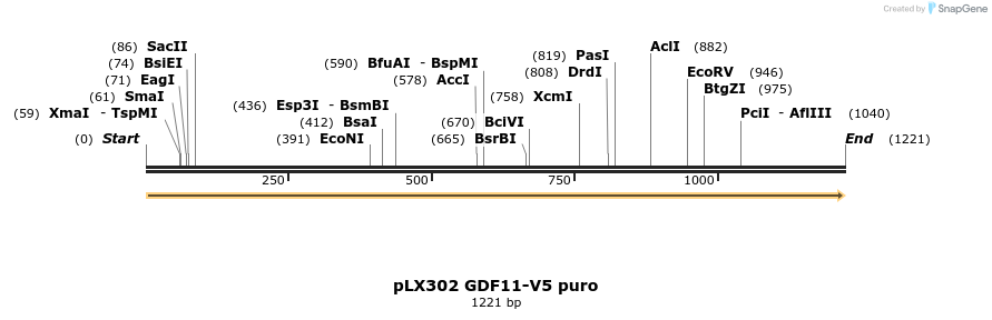 158014_map