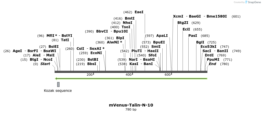158017_map