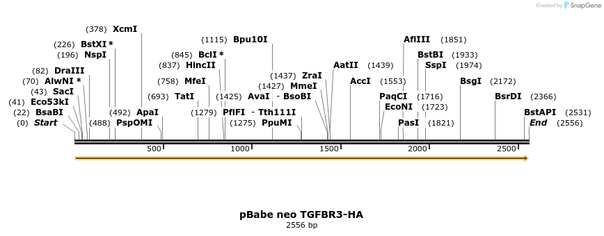 158018_map