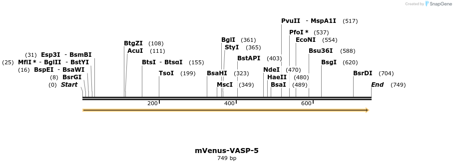 158020_map