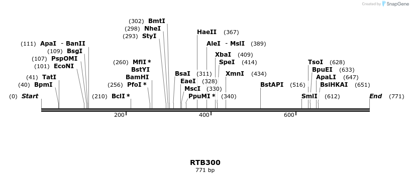 158021_map