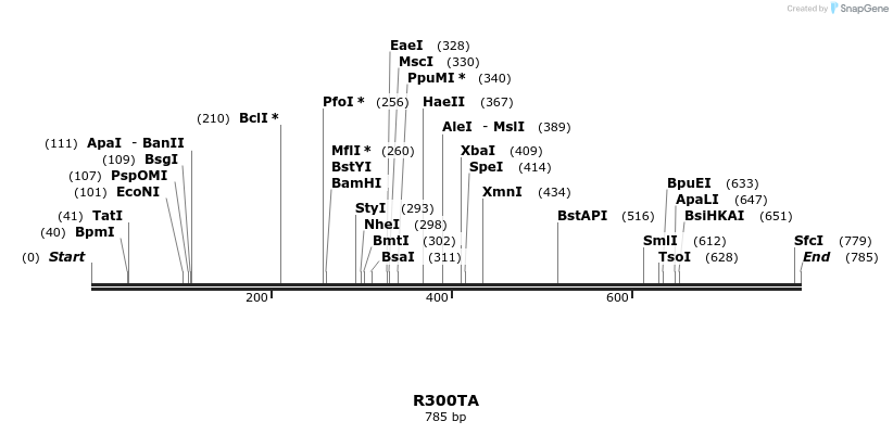 158022_map