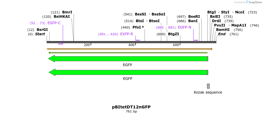 158023_map