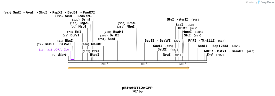 158024_map