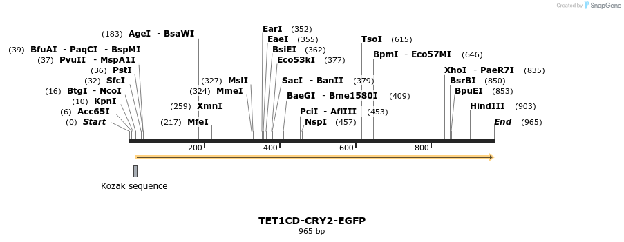 158025_map