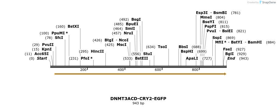 158027_map