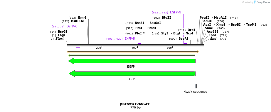 158029_map