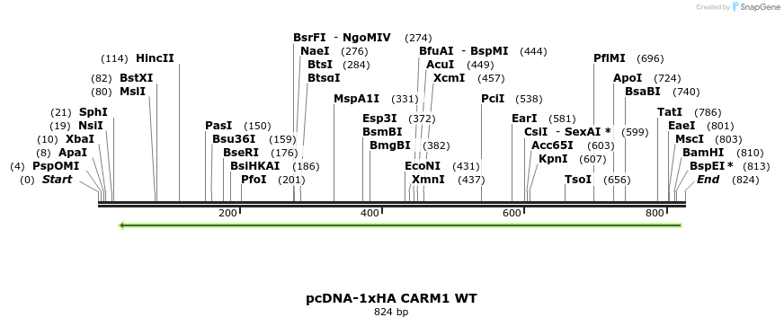 158032_map