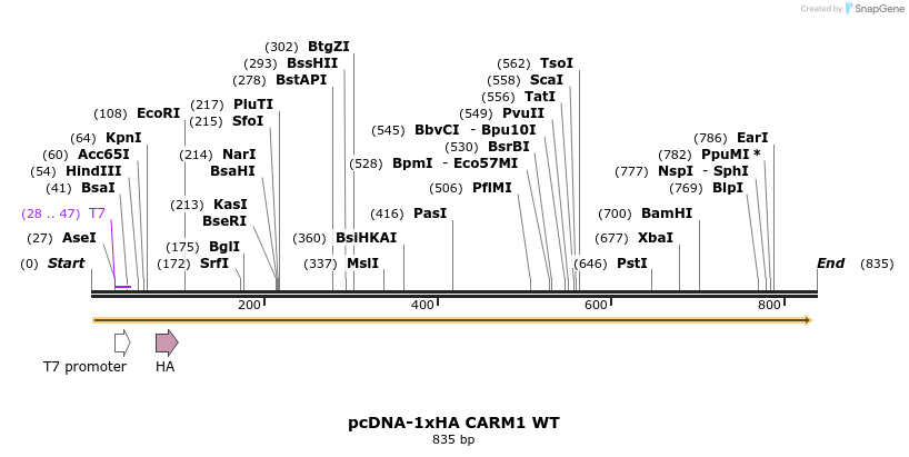 158033_map