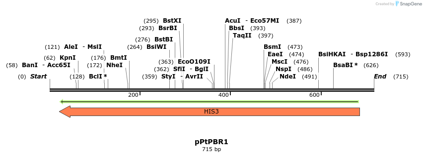 158034_map