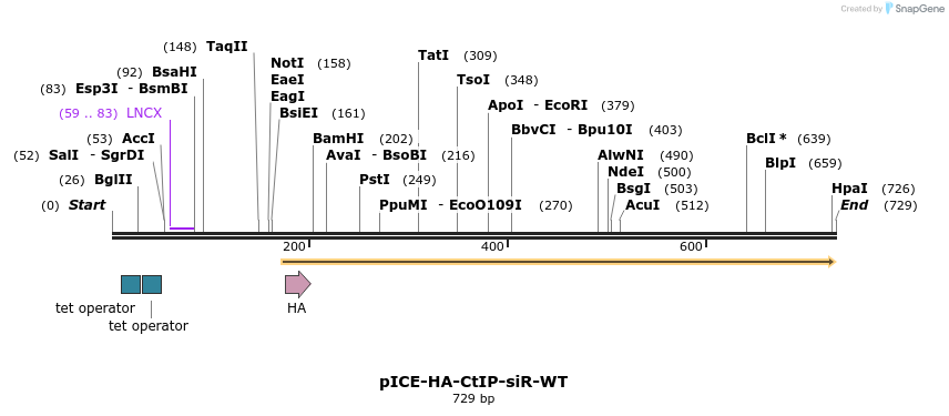 158041_map