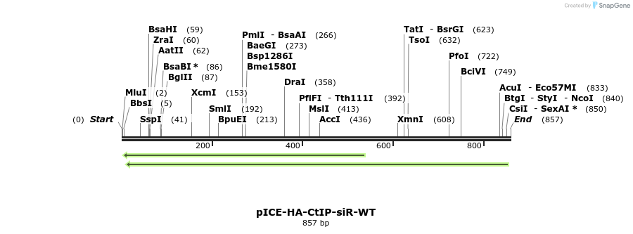 158042_map