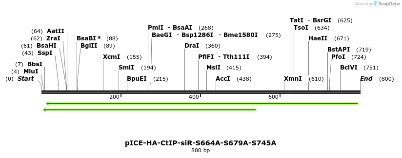 158057_map