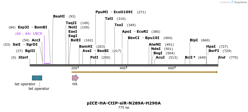 158064_map