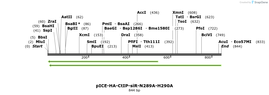 158065_map