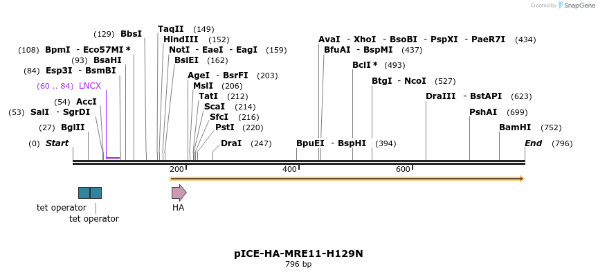 158066_map